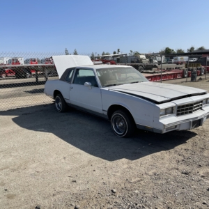 1984 Monte Carlo