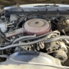 1984 Monte Carlo